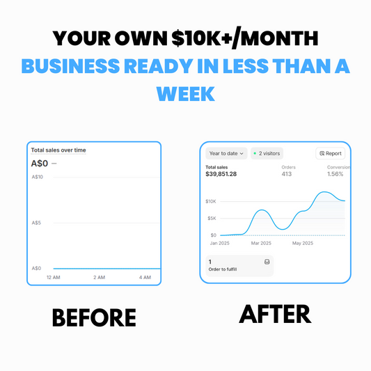 Custom Shopify Business - Scale To Your First $10K+ Month!